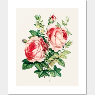 Colorful Vintage Watercolor Rose Flowers Bouquet Posters and Art